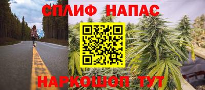 тгк Обнинск