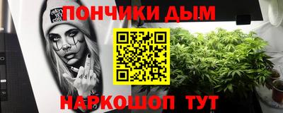 прущие крисы Обь