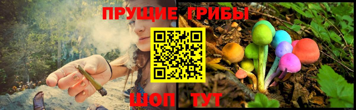 Псилоцибиновые грибы GOLDEN TEACHER  Вход с VPN  Тобольск  Псилоцибиновые грибы MAGIC MUSHROOMS 